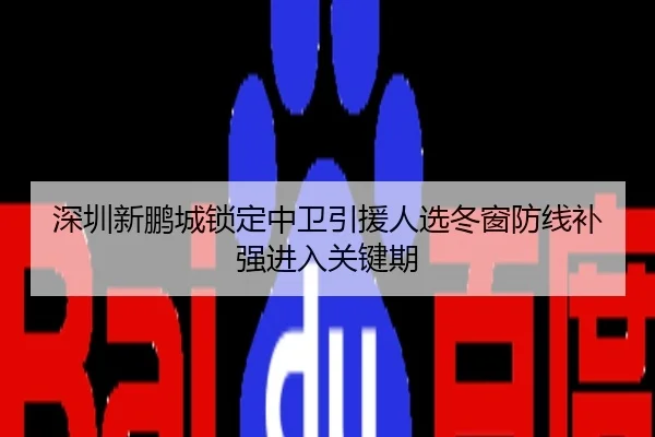 深圳新鹏城锁定中卫引援人选冬窗防线补强进入关键期