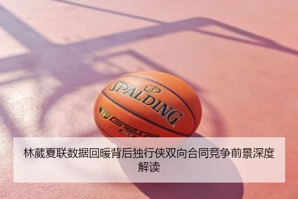 林葳夏联数据回暖背后独行侠双向合同竞争前景深度解读